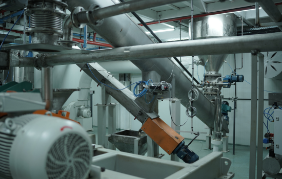 Untitled design (73)