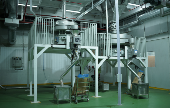 Untitled design (74)